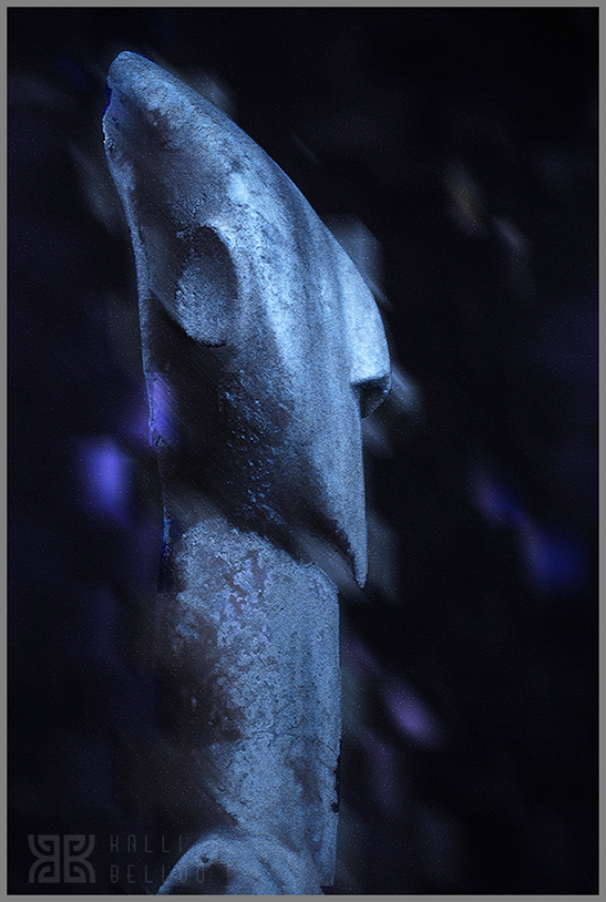 � Kalli Bellou / www.kallibellou.com